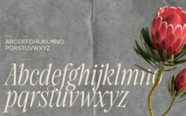 FF studio